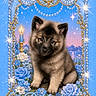 Pablo Lorenzo joined the competition — help win amazing prizes! puppy, dog, flowers, blue, gold, pearl, candle, sparkles, framed, portrait, cute, fluffy, decorative, name_text, artistic, fantasy, animal, sitting, starry_sky, ornate