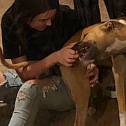 Milo joined the competition — help win amazing prizes! dog, woman, person, petting, indoors, living_room, carpet, seated, standing, brown_dog, large_dog, short_hair, collar, animal, companion, affection, portrait, casual, home, smartphone_screenshot