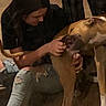 dog, woman, person, petting, indoors, living_room, carpet, seated, standing, brown_dog, large_dog, short_hair, collar, animal, companion, affection, portrait, casual, home, smartphone_screenshot