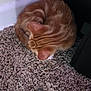 Freya joined the competition — help win amazing prizes! cat, ginger_cat, sleeping, curled_up, carpet, indoor, feline, pet, cozy, resting, fur, quiet, corner, home, animal, domestic, relaxation, small, soft, cute