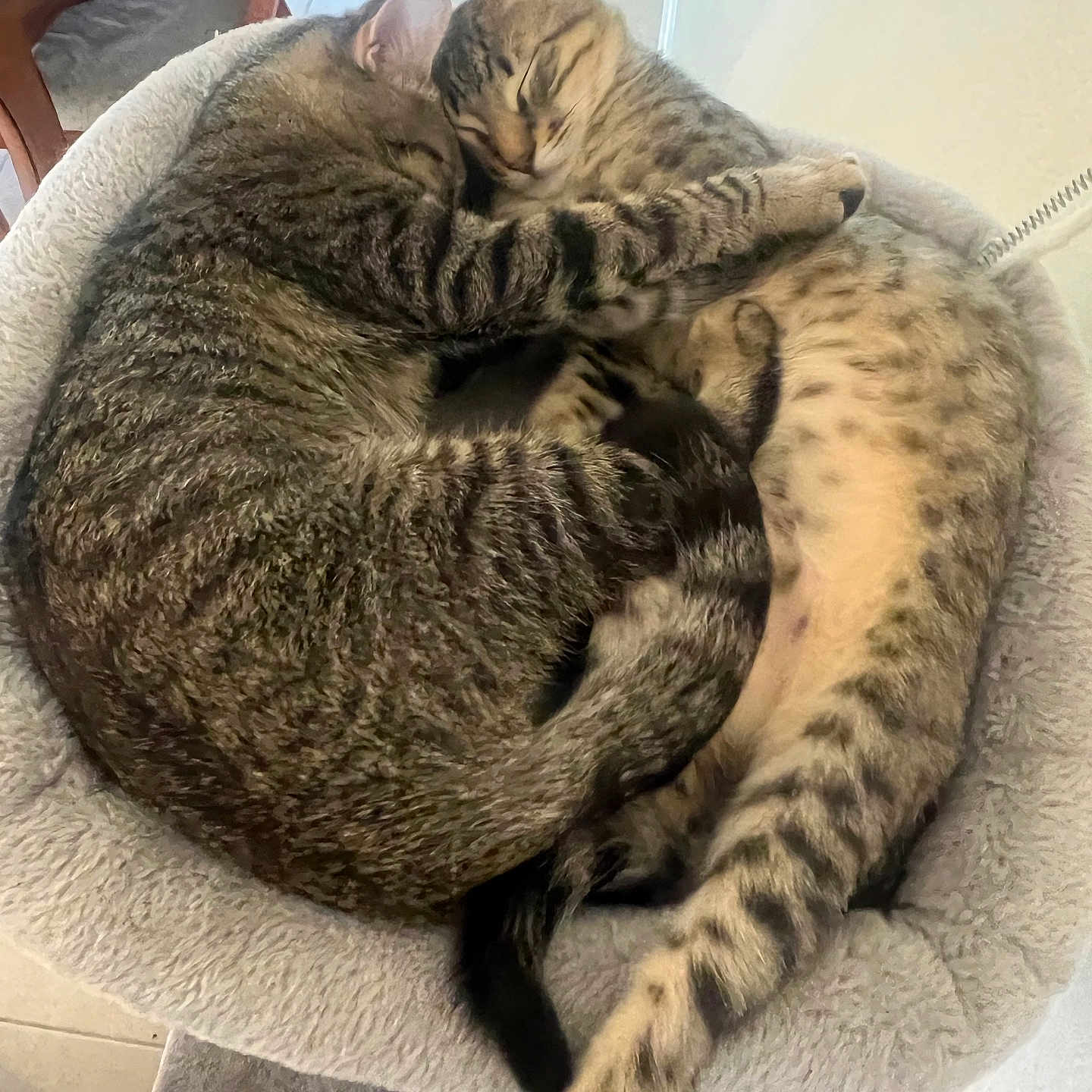 Chris And Leon