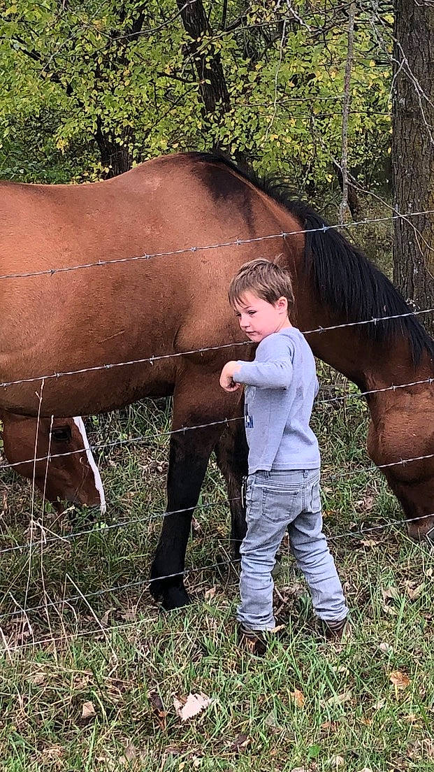Kaysen is registered to the contest to win money with this photo: bit, bridle, grass, grassland, grazing, horse, horse_supplies, horse_tack, landscape, leg, liver, mane, pack_animal, person, plant, rein, snout, sorrel, terrestrial_animal, tree