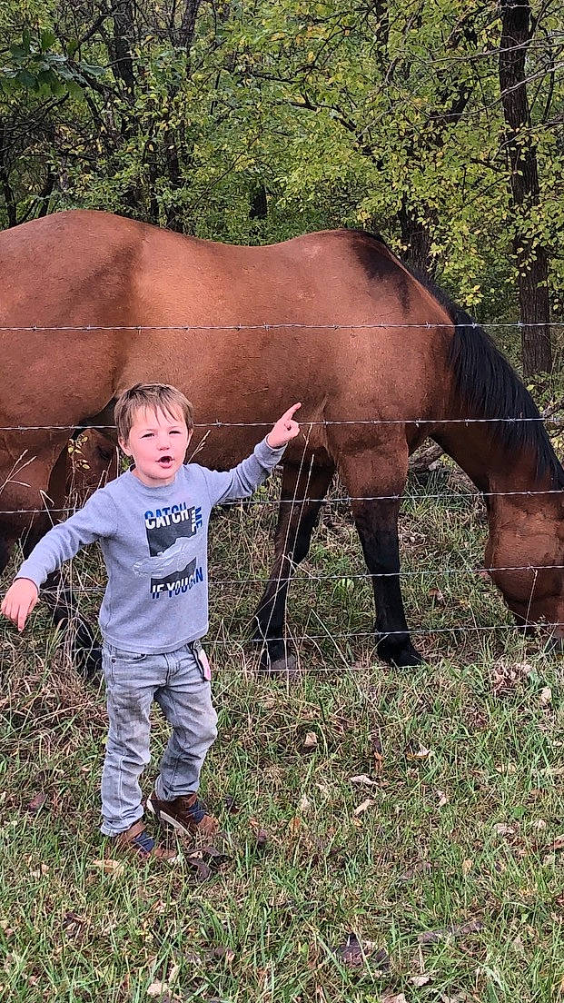 Kaysen is registered to the contest to win money with this photo: eye, fawn, gesture, grass, grassland, grazing, happy, horse_supplies, jaw, landscape, liver, pack_animal, people_in_nature, person, plant, recreation, snout, terrestrial_animal, toddler, tree