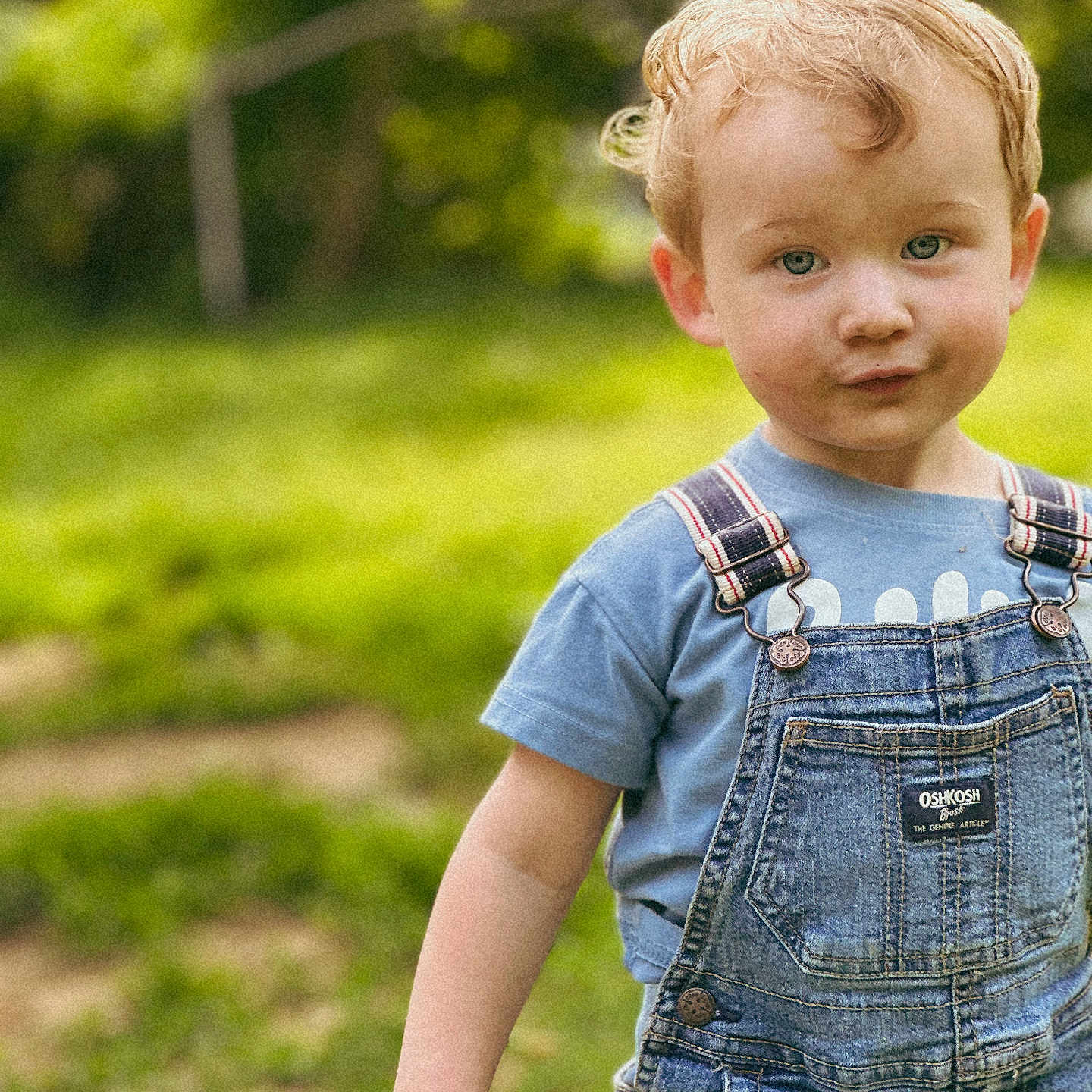 Asher joined the competition — help win amazing prizes! blue_shirt, boy, casual_clothing, child, curly_hair, denim, expression, eyes, face, grass, greenery, innocence, nature, outdoor, overalls, portrait, standing, sunlight, toddler, young_child