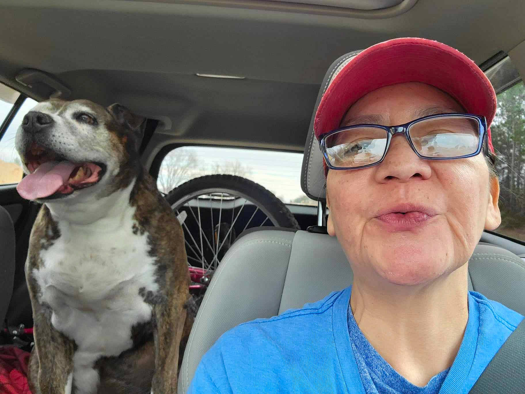 C-ska joined the competition — help win amazing prizes! cap, car, car_seat, car_seat_cover, carnivore, companion_dog, cool, dog, dog_breed, eyewear, glasses, head_restraint, motor_vehicle, seat_belt, selfie, smile, travel, vehicle, vehicle_door, vision_care