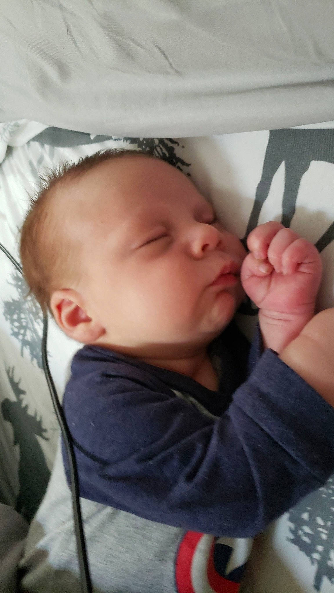 Owen is registered to the contest to win money with this photo: arm, baby, cheek, child, chin, ear, eye, face, finger, gesture, hand, head, lip, mouth, nap, nose, person, skin, sleep, thumb