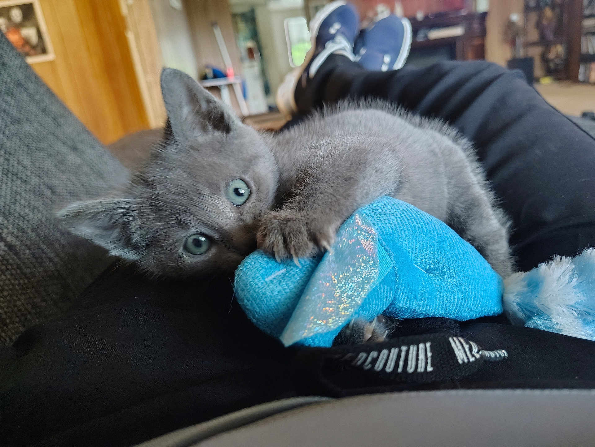 Nibbler