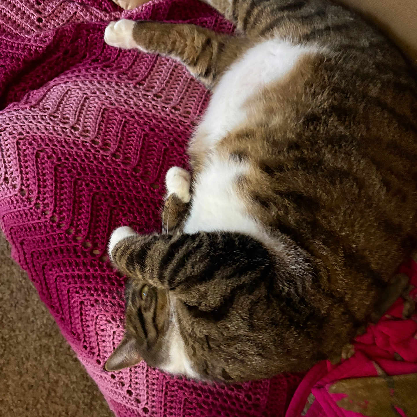 Tigger