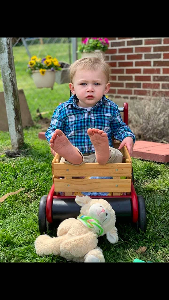 Arthur is registered to the contest to win money with this photo: baby, baby_toys, backyard, child, garden, grass, lawn, person, play, sitting, toddler, toy, yard