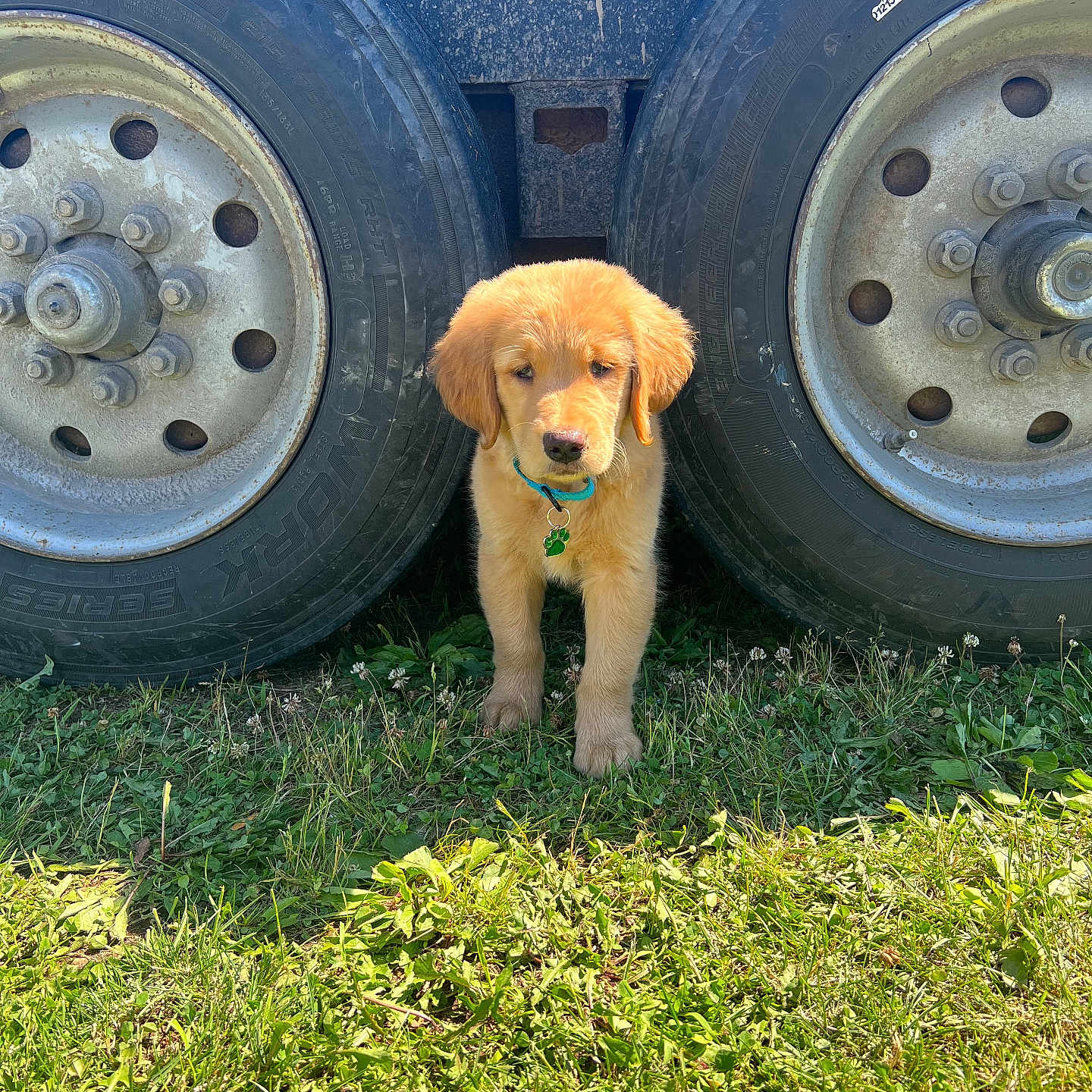 Murphy