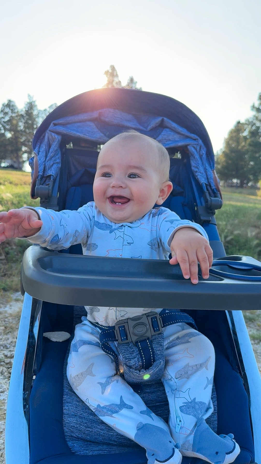 Kooper joined the competition — help win amazing prizes! baby, stroller, smiling, outdoor, child, grass, sunlight, blue_clothing, onesie, shark_pattern, happy, seatbelt, nature, trees, infant, cute, playful, daytime, park, baby_shoes