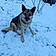 éra