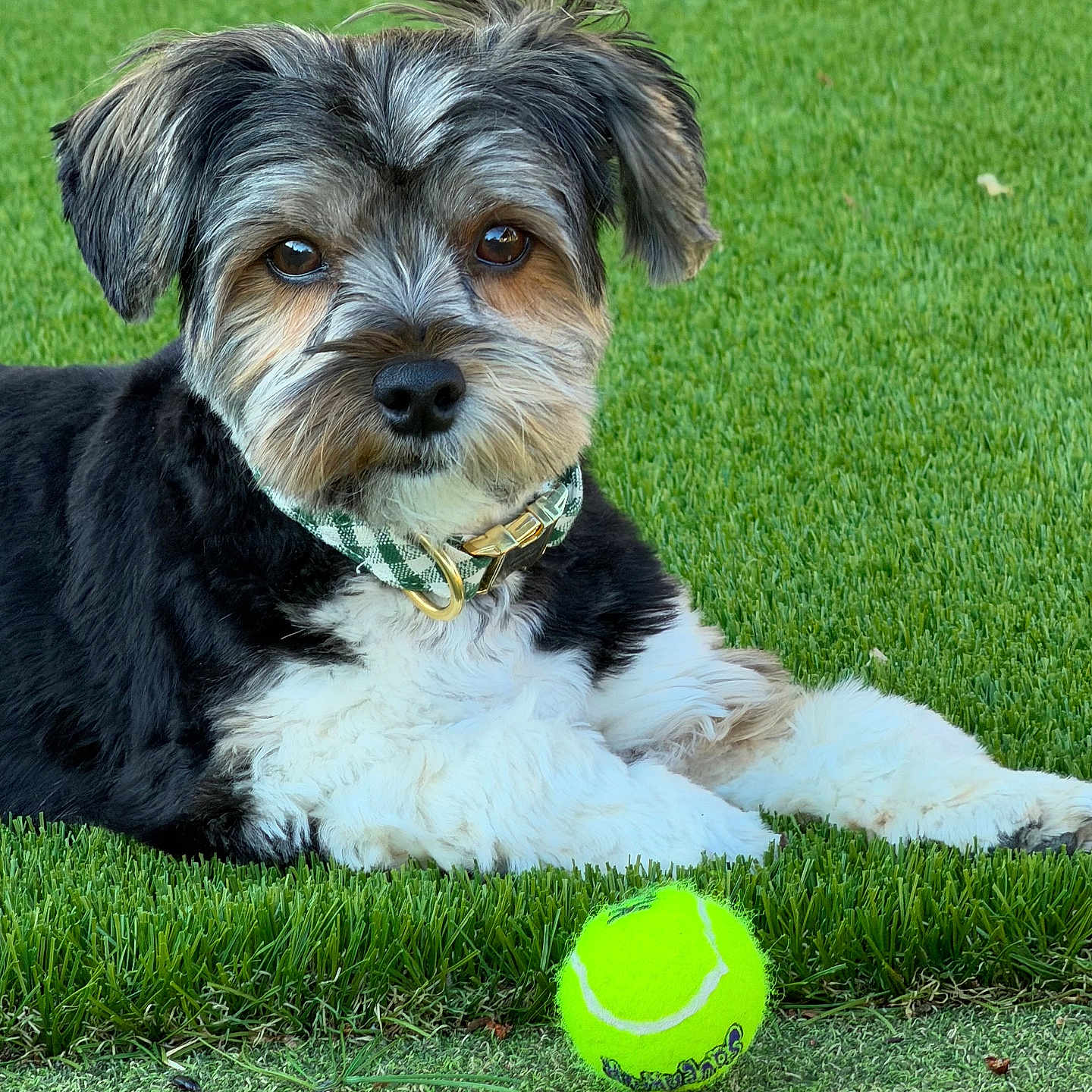 Bentley