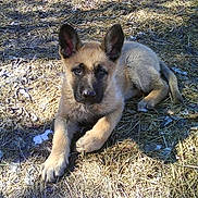 EROS a rejoint le concours — aidez-le/la à gagner de superbes lots !