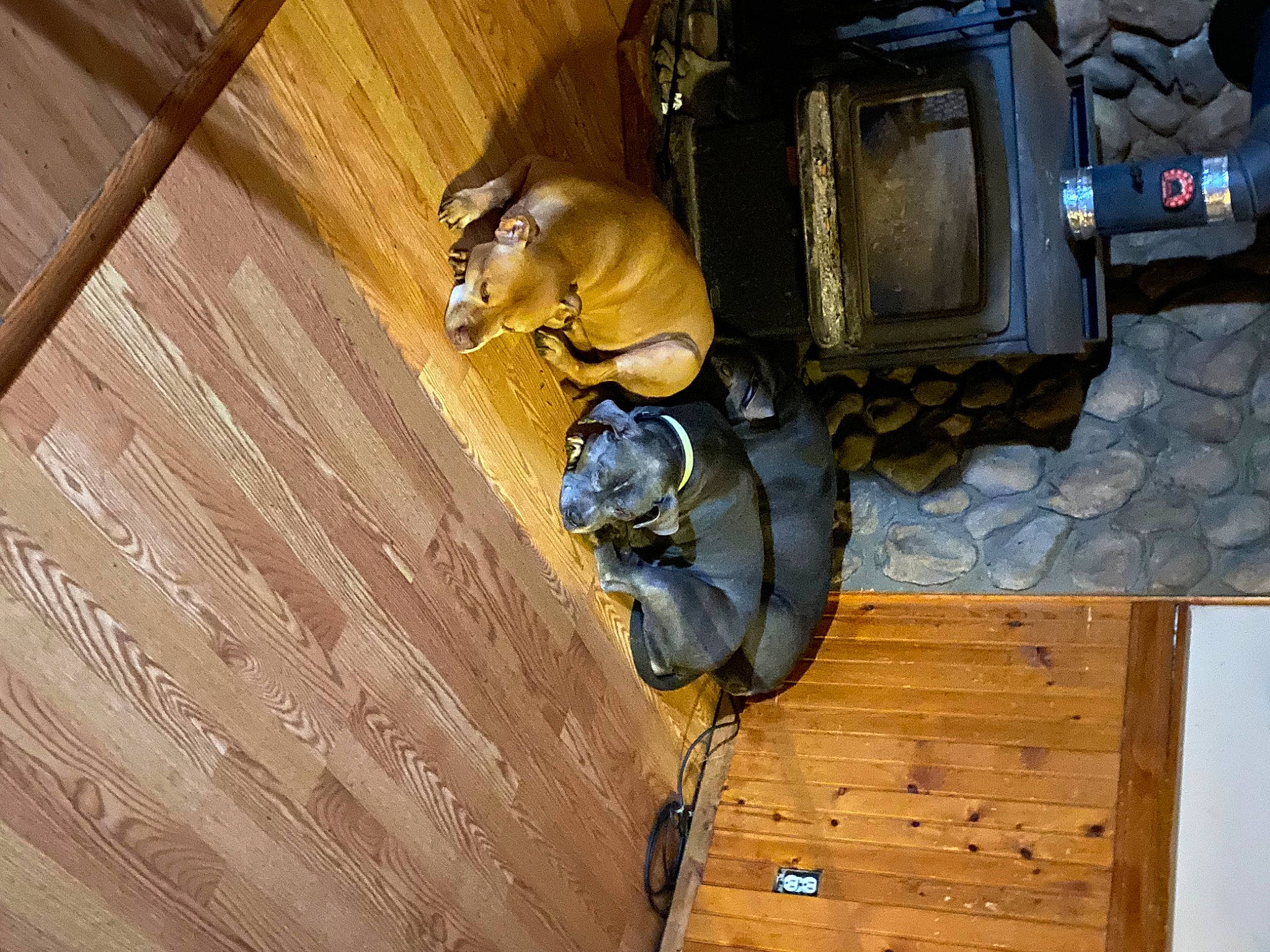 Red is registered to the contest to win money with this photo: auto_part, automotive_tire, automotive_wheel_system, ceiling, flooring, gas, hardwood, helmet, machine, metal, motor_vehicle, pattern, personal_protective_equipment, plank, plywood, toy, toy_vehicle, wheel, wood, wood_stain