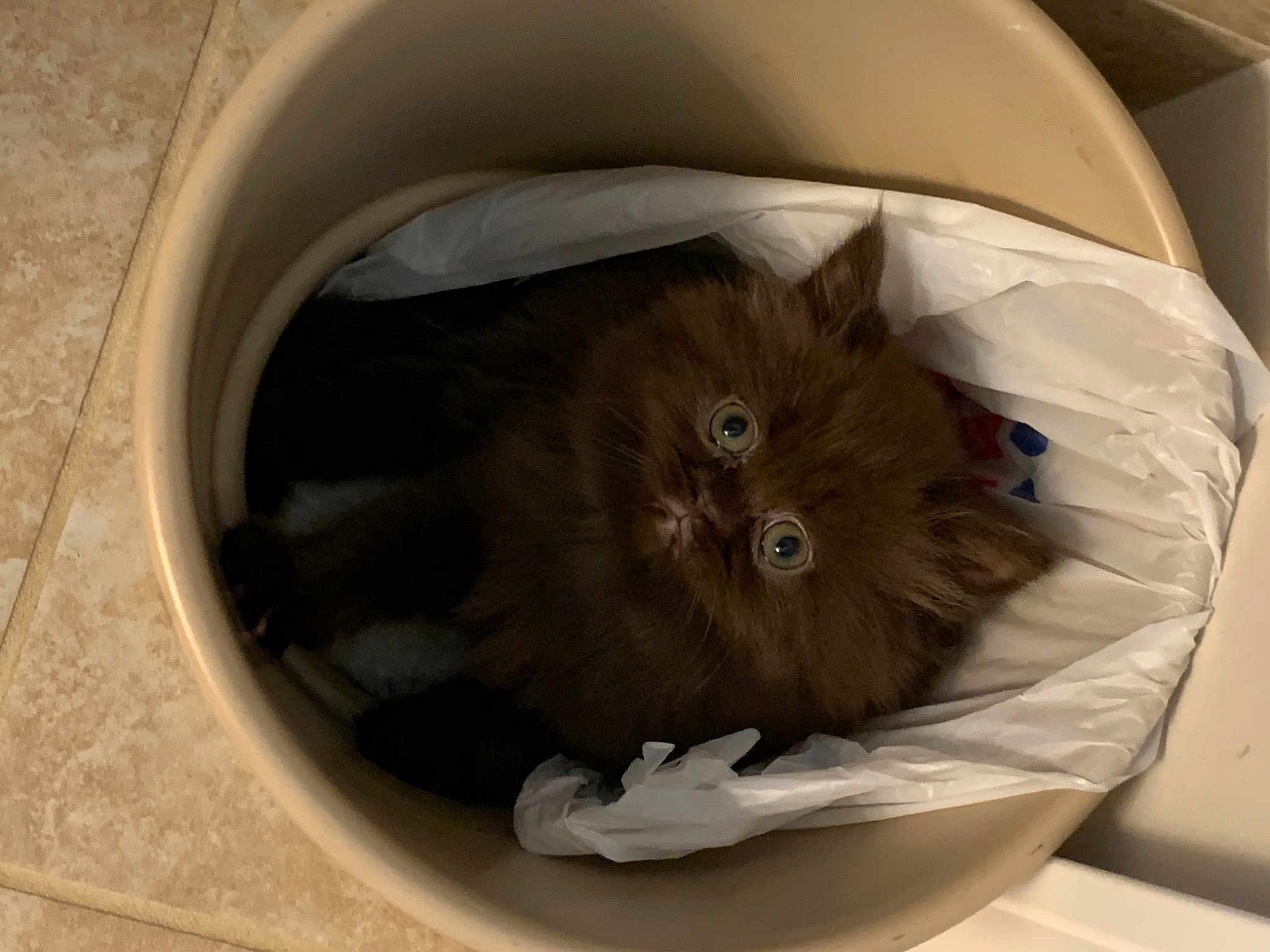 Cocopuff