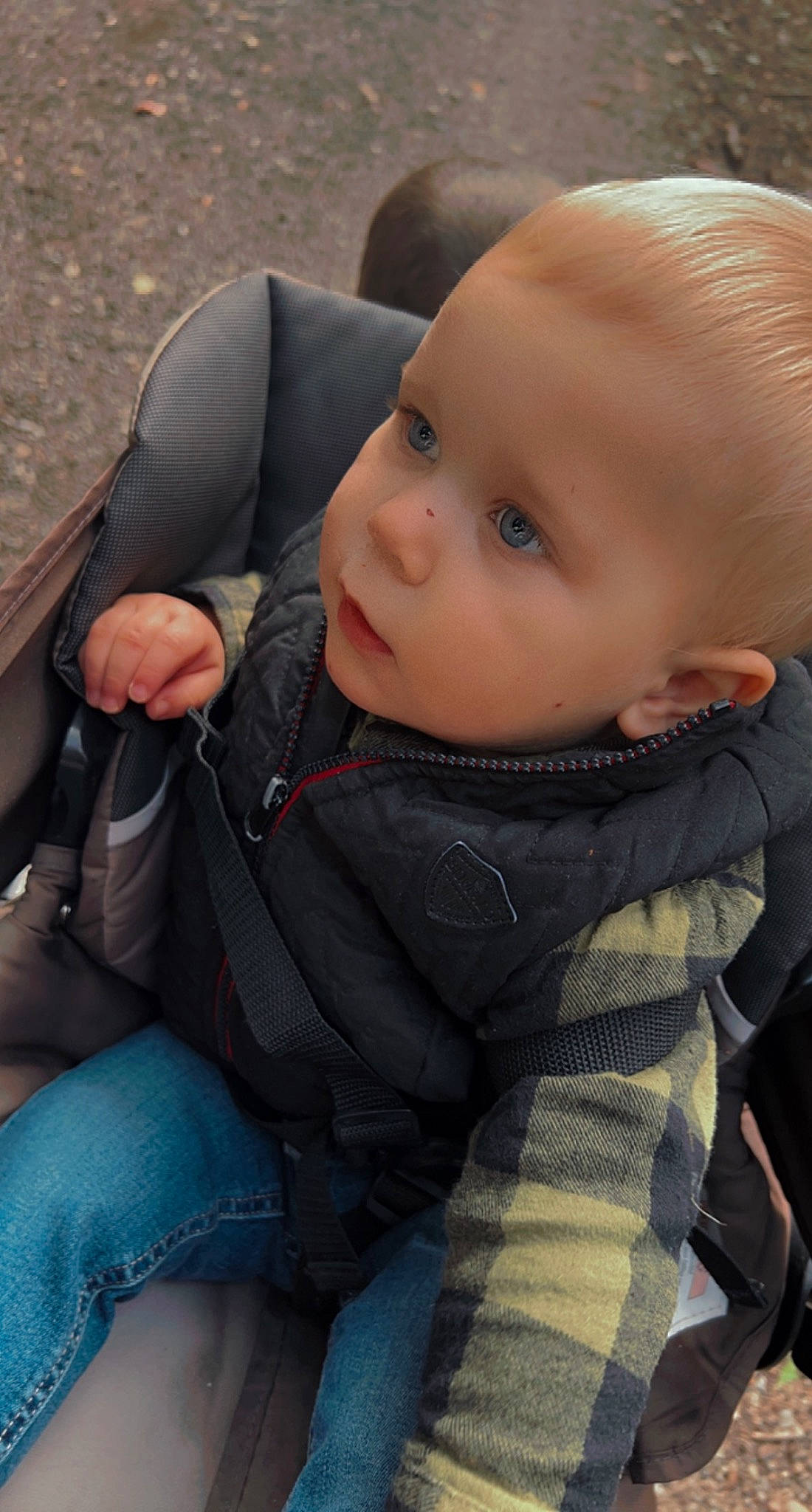 Brody is registered to the contest to win money with this photo: baby, baby_carriage, baby_products, baby_toddler_clothing, cheek, child, comfort, cool, facial_expression, finger, fun, grass, lip, mammal, nose, outerwear, person, sitting, skin, toddler