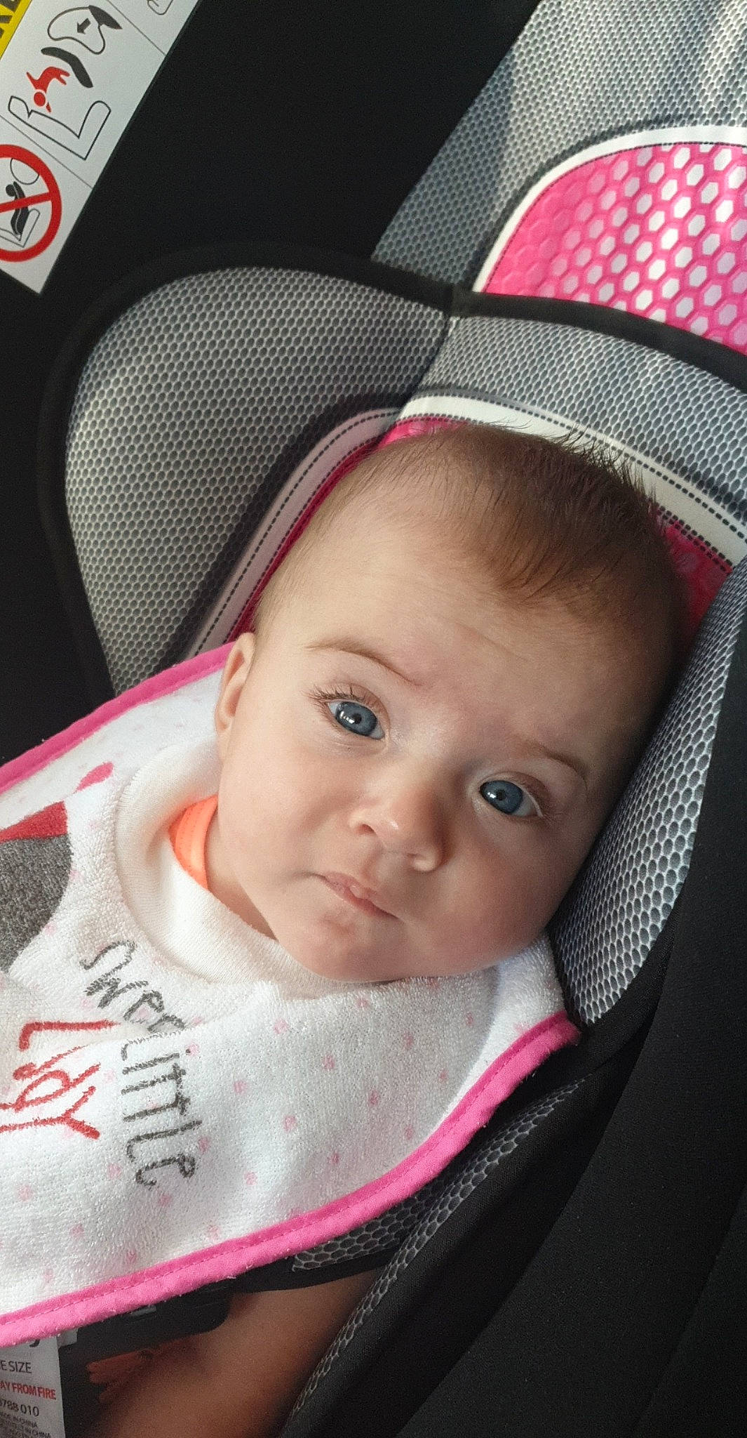 Isla is registered to the contest to win money with this photo: