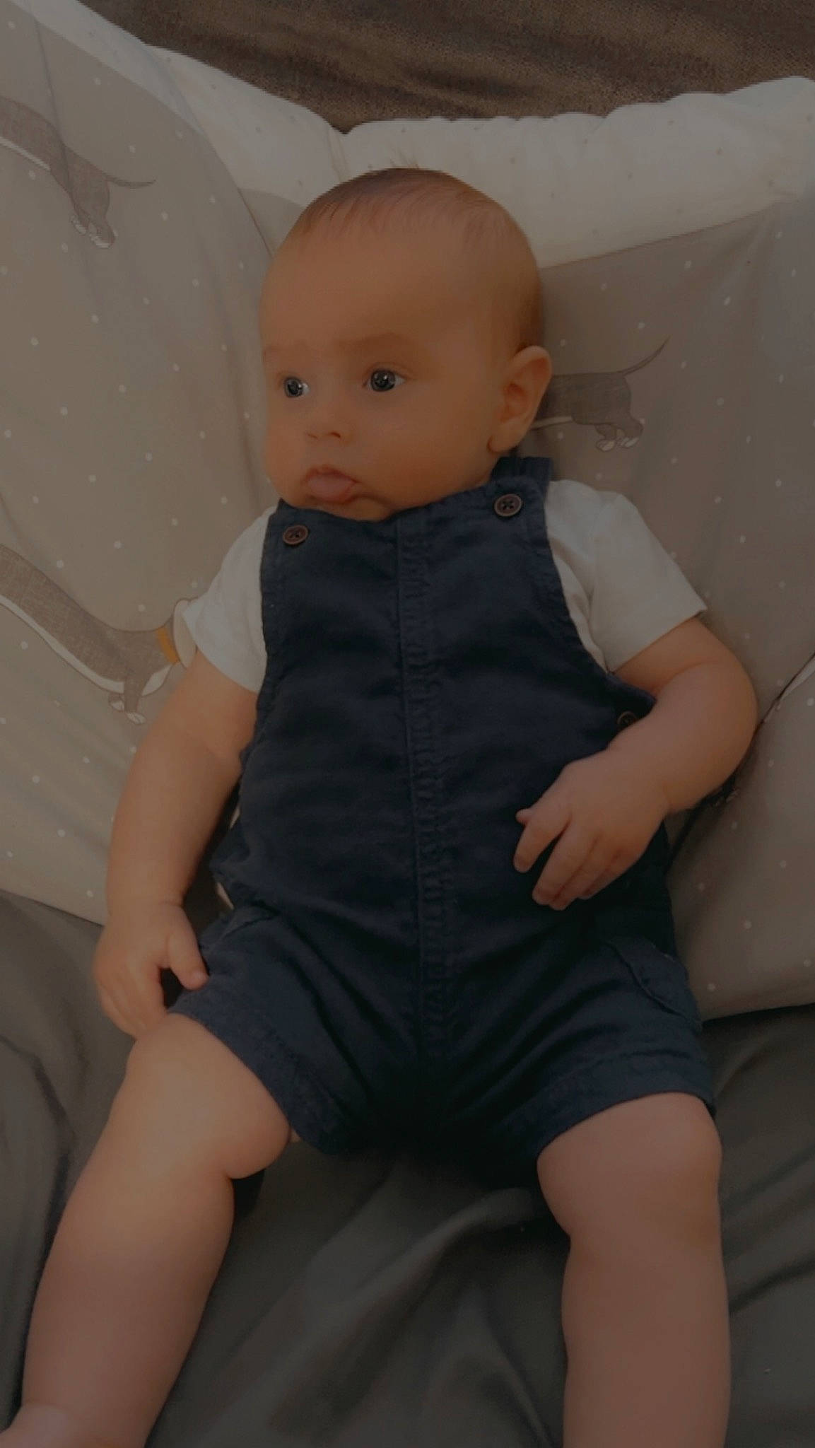 Archie is registered to the contest to win money with this photo: abdomen, baby, baby_toddler_clothing, cheek, chest, comfort, doll, eye, eyelash, human_leg, iris, joint, knee, person, sitting, skin, sleeve, thigh, thumb, toy