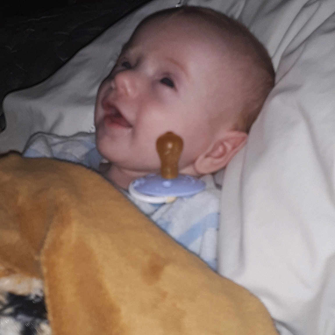 Zayden is registered to the contest to win money with this photo: baby, bedtime, cheek, child, eye, face, fawn, head, lip, mouth, muscle, nap, nose, person, skin, sleep, toddler