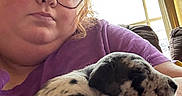 Smoky Grey is registered to the contest to win money with this photo: arm, casual, closeup, comfort, couch, curtains, dog, face, glasses, home, indoor, light, person, pet, puppy, purple_shirt, relaxation, resting, sleeping_dog, window