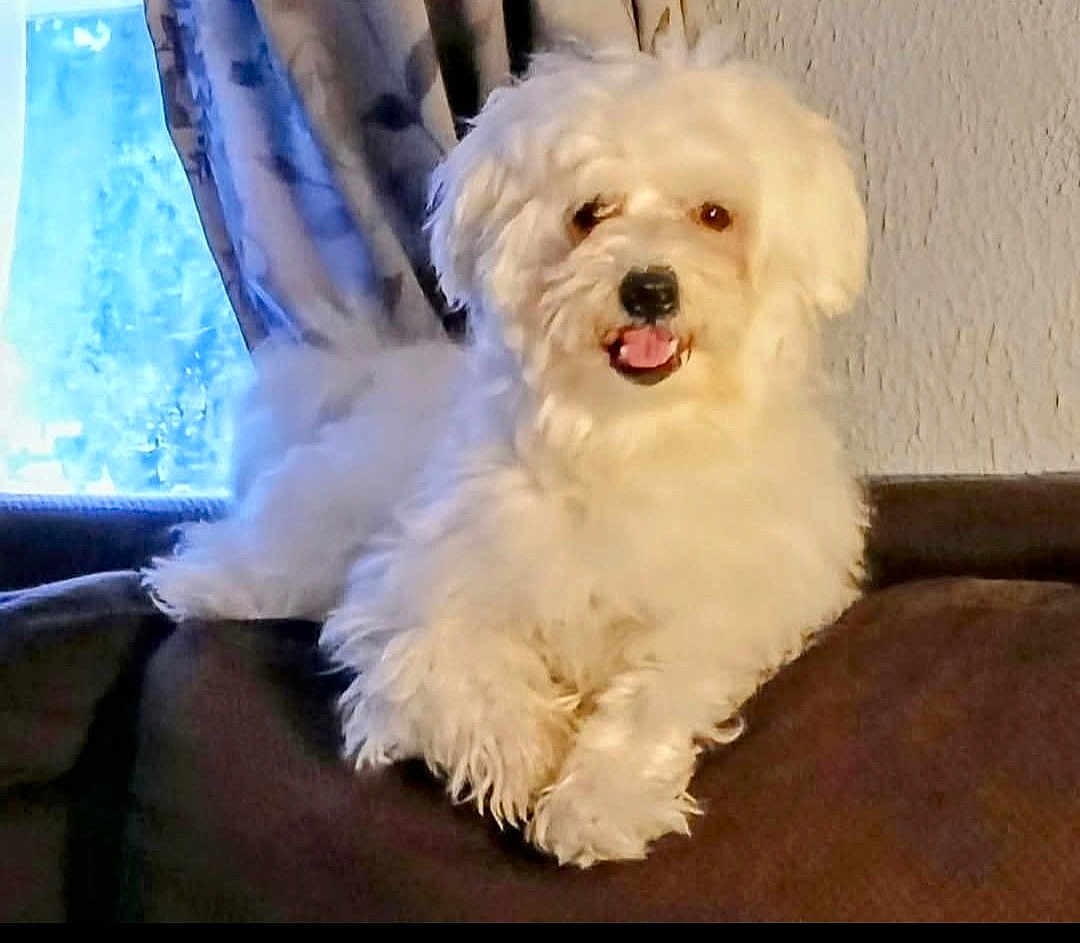 Reggie
