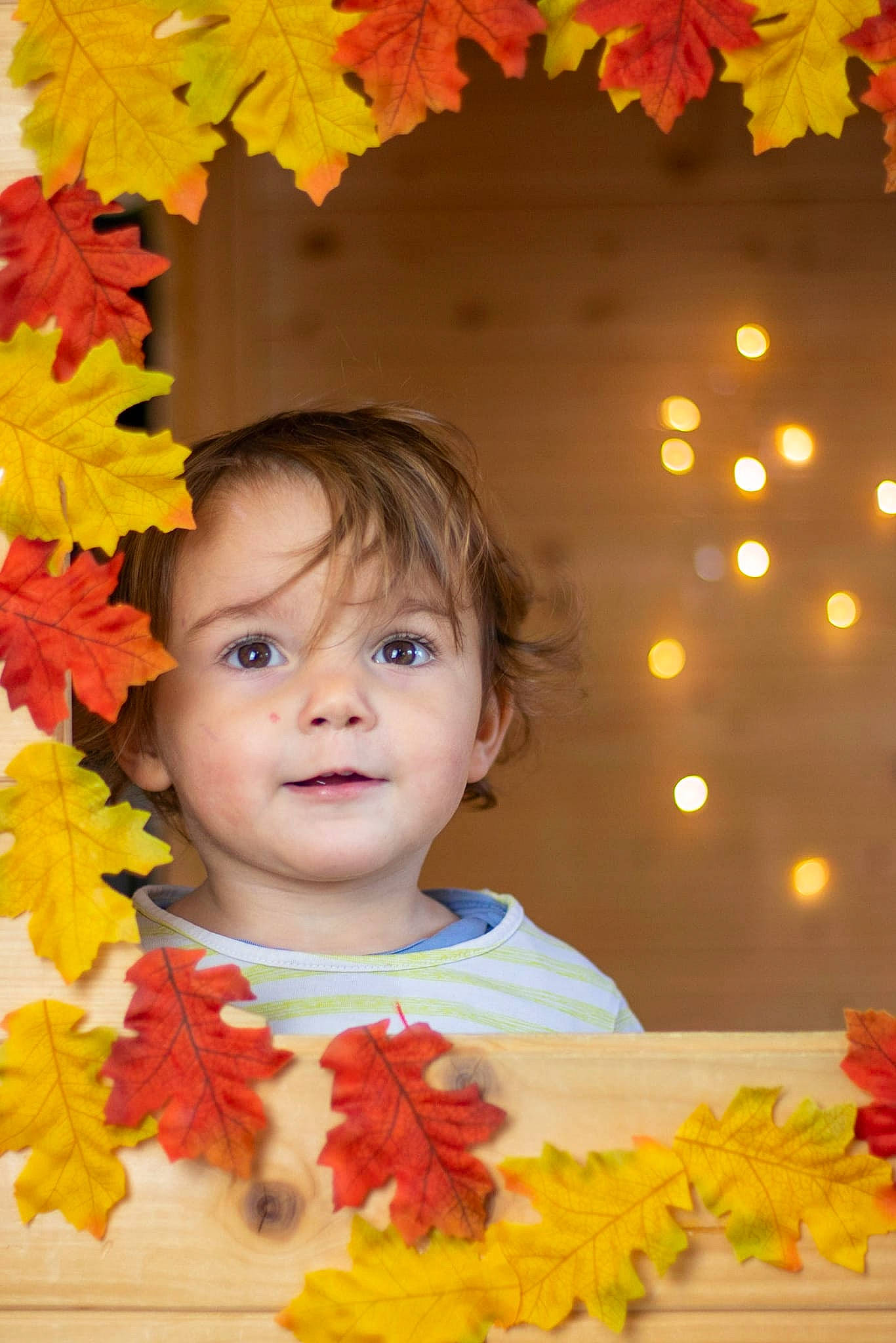 Lison participe au concours pour gagner de l'argent avec cette photo : branch, cheek, clothing, eye, face, happy, head, iris, leaf, nature, orange, people_in_nature, person, petal, plant, red, smile, toddler, tree, wood