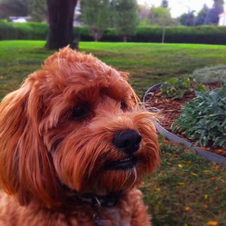 Hudson is registered to the contest to win money with this photo: