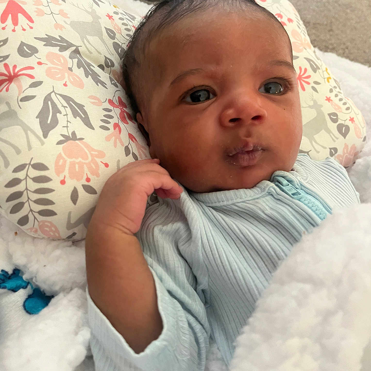 Elsadig is registered to the contest to win money with this photo: baby, blanket, blue_clothing, child, cozy, curious, cute, expression, face, floral_pattern, hand, indoors, infant, newborn, person, pillow, portrait, sleepwear, soft_texture, young_child