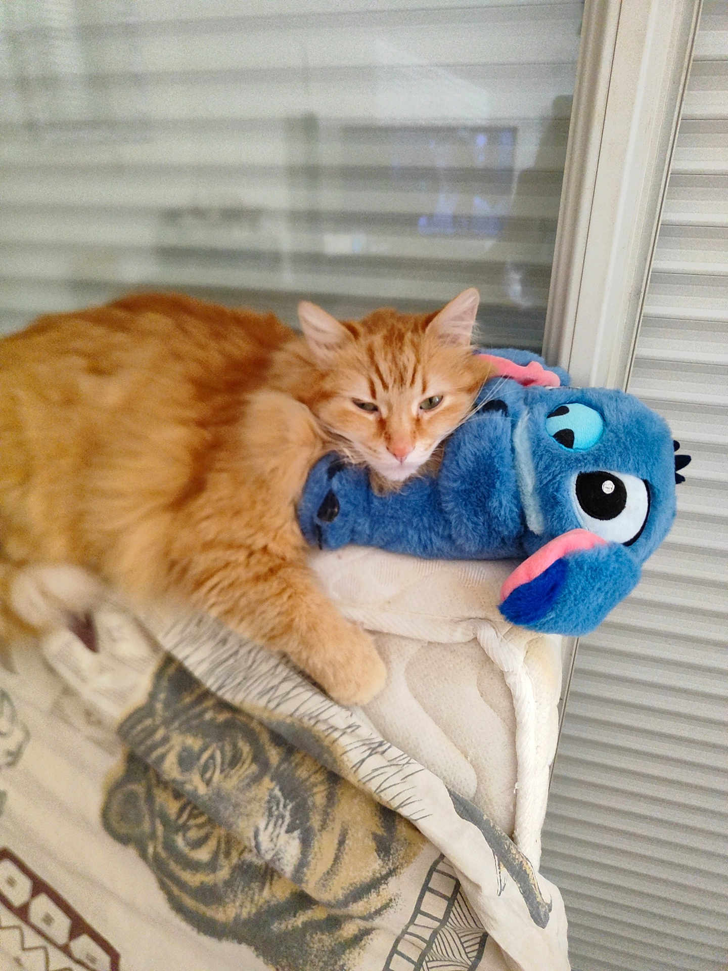 Roukin participe au concours pour gagner de l'argent avec cette photo : animal, blanket, cat, comfort, cozy, cute, feline, fur, home, indoor, mattress, orange_cat, pet, plush_toy, relaxed, resting, sleepy, soft_toy, stitch_toy, tiger_pattern