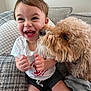Jack joined the competition — help win amazing prizes! toddler, dog, couch, smiling, happy, indoor, pet, child, canine, fur, clothing, shorts, white_shirt, comfort, playful, cuddling, furniture, blanket, home, portrait