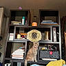blanket, books, bookshelf, candle, cat, championship_belt, cozy, decor, feline, furniture, home, indoor, orange_cat, pillow, portrait, shelf, sitting, storage_basket, tabby, wrestling_belt