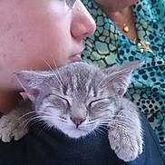 Bella participe au concours pour gagner de l'argent avec cette photo : kitten, sleeping, young_person, shoulder, close_up, indoor, patterned_clothing, face, skin, ear, whiskers, paw, black_shirt, necklace, hand, gentle, calm, pet, companion, rest