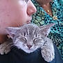 kitten, sleeping, young_person, shoulder, close_up, indoor, patterned_clothing, face, skin, ear, whiskers, paw, black_shirt, necklace, hand, gentle, calm, pet, companion, rest