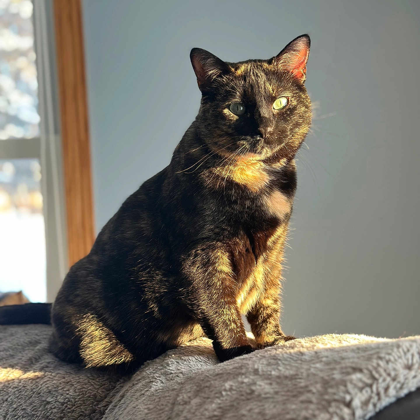 Luna