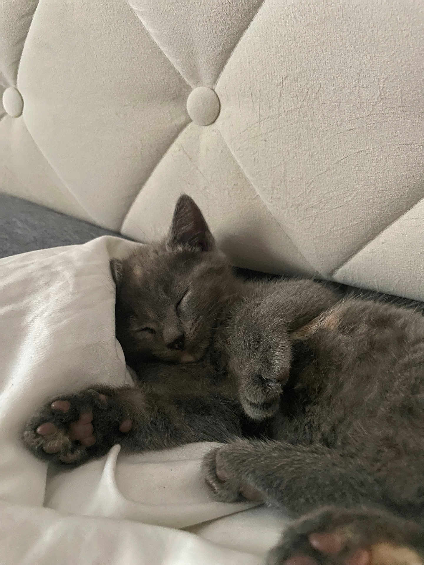 Nala