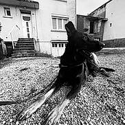 Peter participe au concours pour gagner de l'argent avec cette photo : alert, animal, black_and_white, black_dog, canine, daylight, dog, front_yard, gravel, house, leash, looking_away, lying_down, outdoor, pets, quiet, relaxed, residential_building, stairs, windows