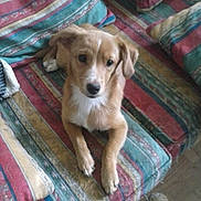 Fash a rejoint le concours — aidez-le/la à gagner de superbes lots !