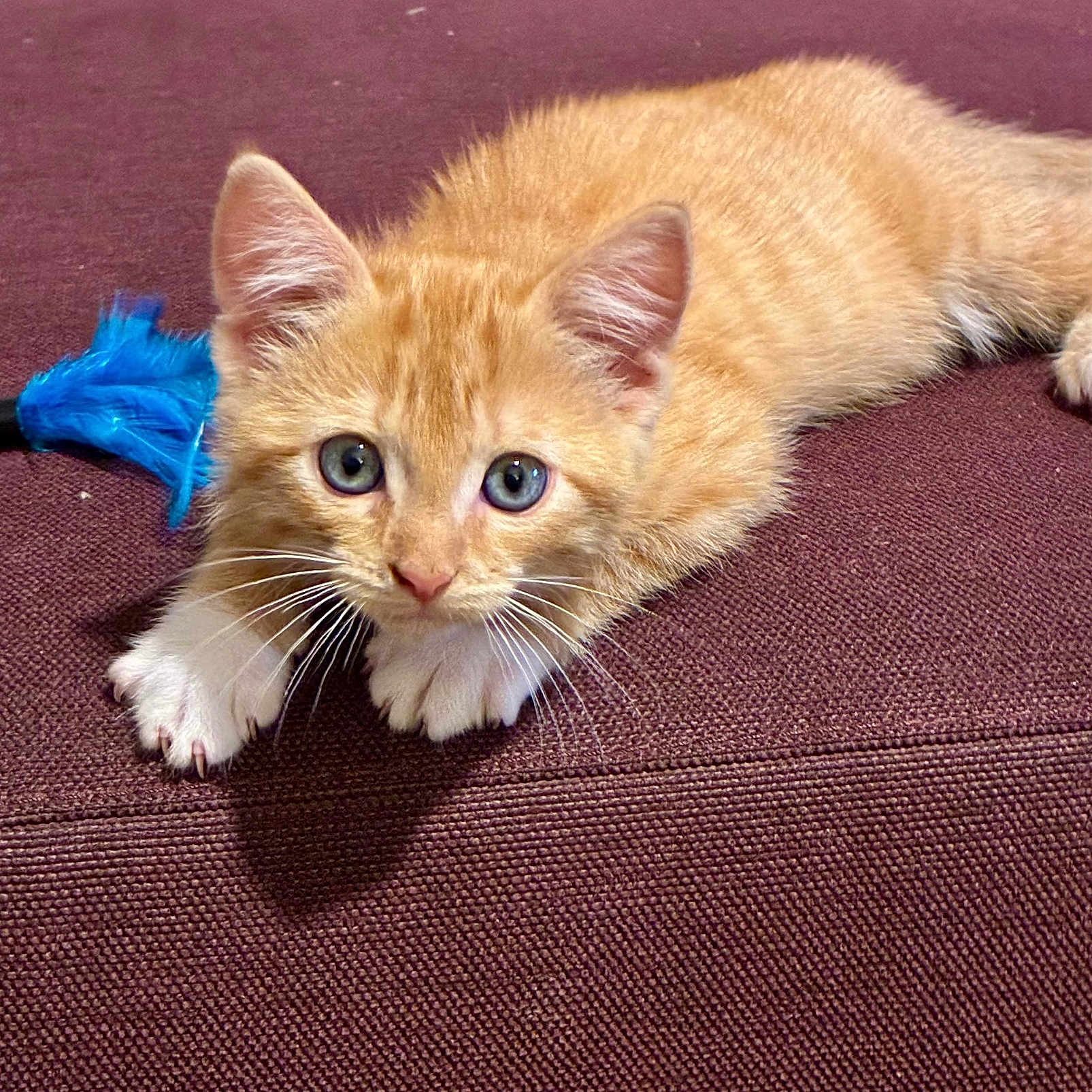 Charlie