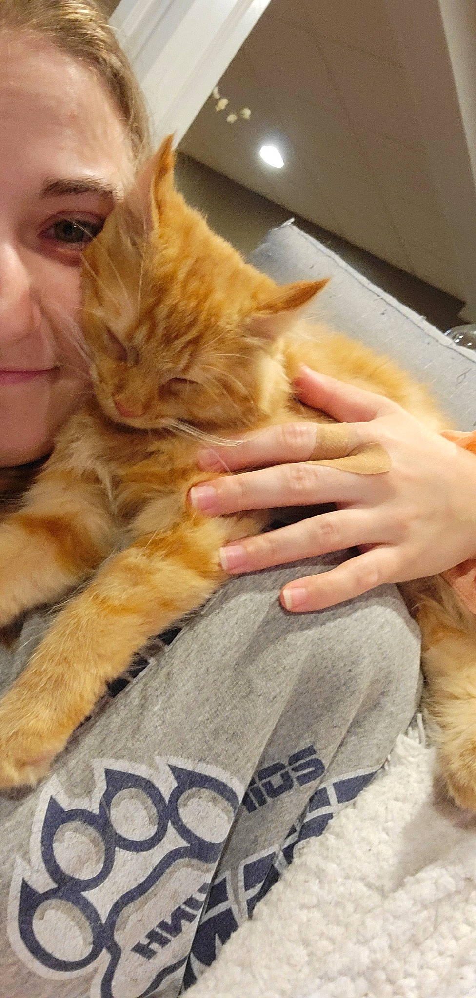 October is registered to the contest to win money with this photo: canidae, carnivore, cat, child, claw, comfort, companion_dog, domestic_short_haired_cat, ear, fawn, felidae, fur, gesture, hand, lap, paw, small_to_medium_sized_cats, smile, tail, whiskers