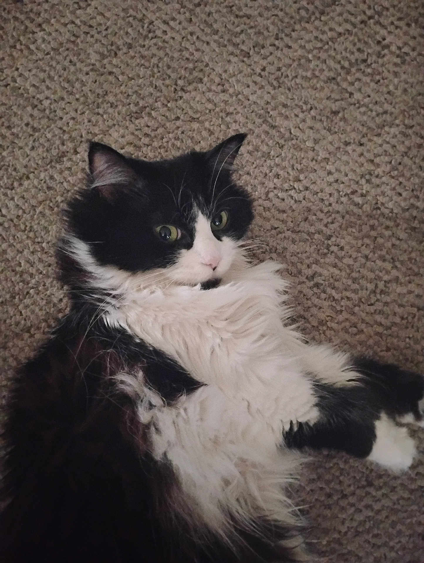 Kiki