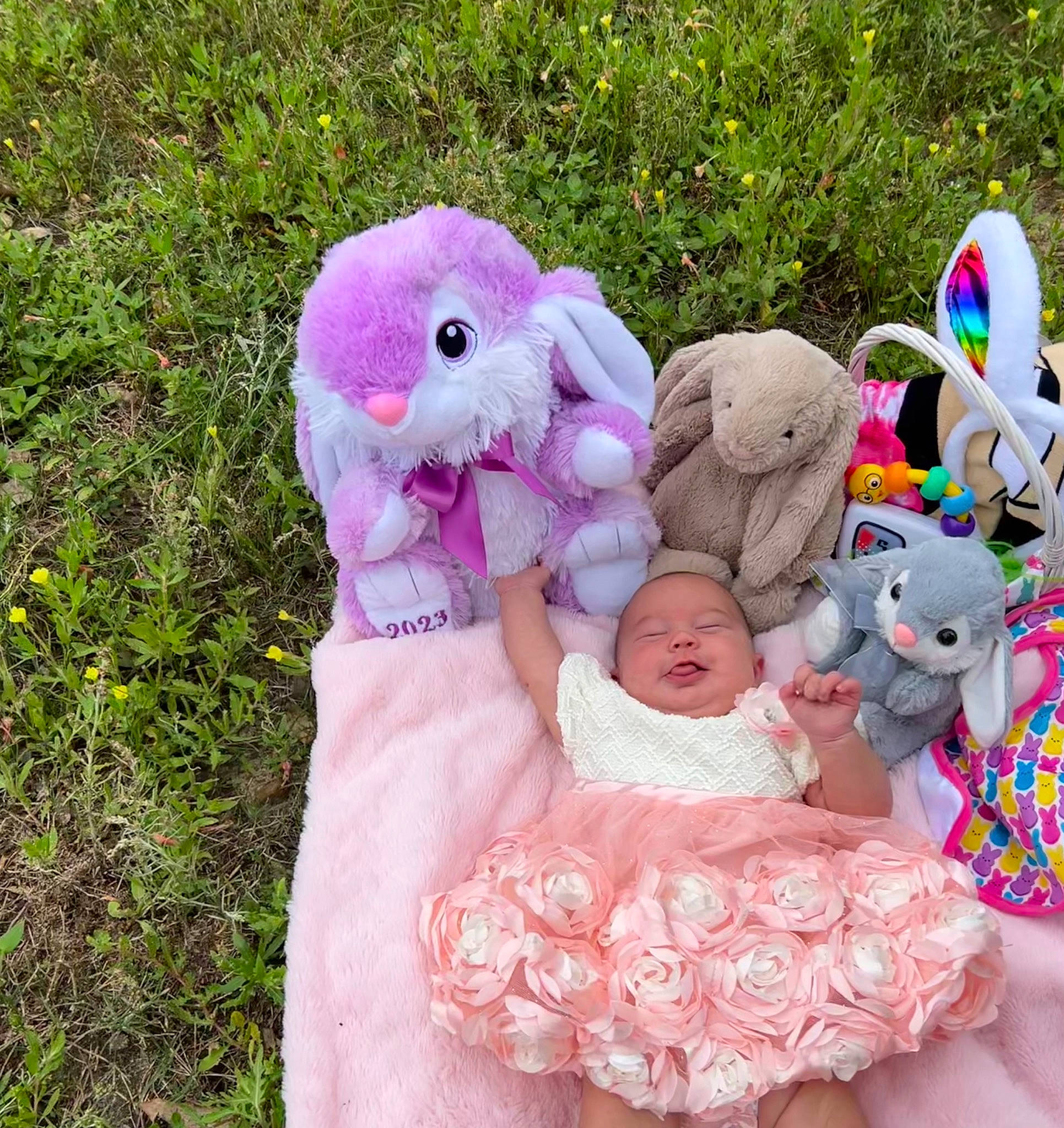 Koby joined the competition — help win amazing prizes! baby_products, baby_toddler_clothing, child, easter_bunny, event, fawn, fun, fur, grass, happy, lawn_ornament, magenta, person, pink, plant, plush, recreation, sitting, stuffed_toy, textile