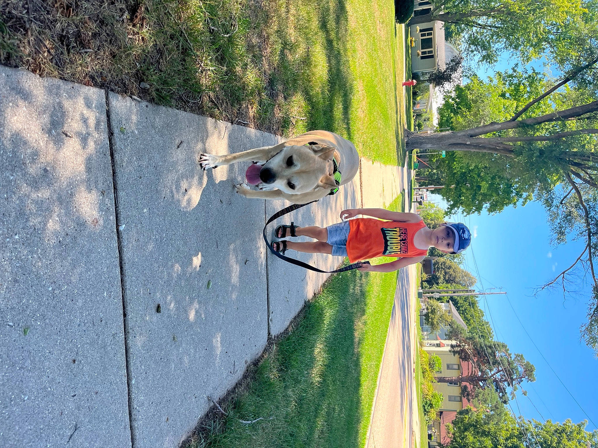 Miles joined the competition — help win amazing prizes! adventure, asphalt, daytime, dog, fun, grass, green, headwear, landscape, leisure, line, person, plant, pole, recreation, reflection, road_surface, sidewalk, sky, sport_climbing