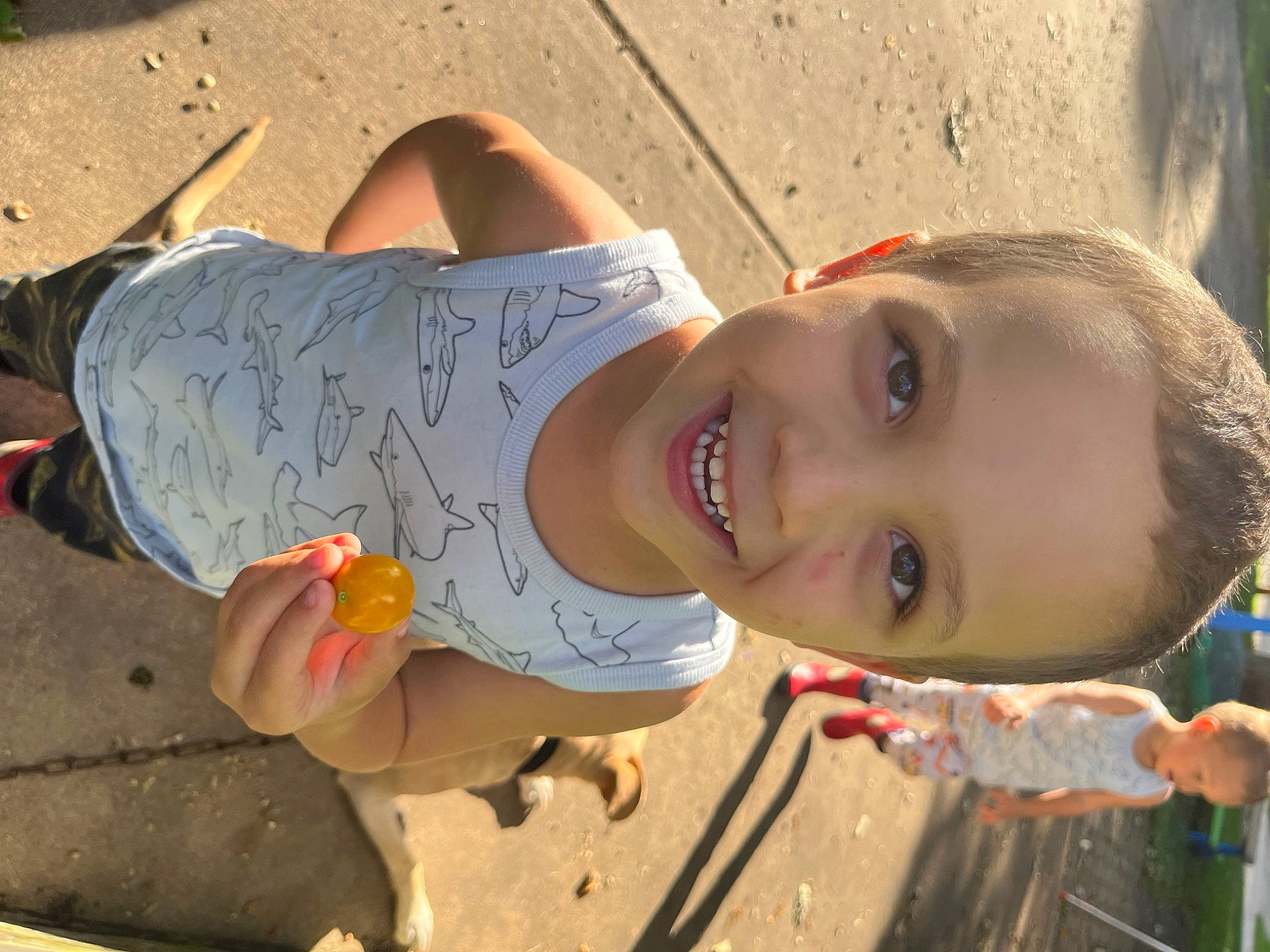 Miles joined the competition — help win amazing prizes! child, eye, eyewear, finger, fun, hand, happy, human_leg, joy, landscape, leisure, lip, mouth, person, plant, public_space, skin, smile, thigh, toddler