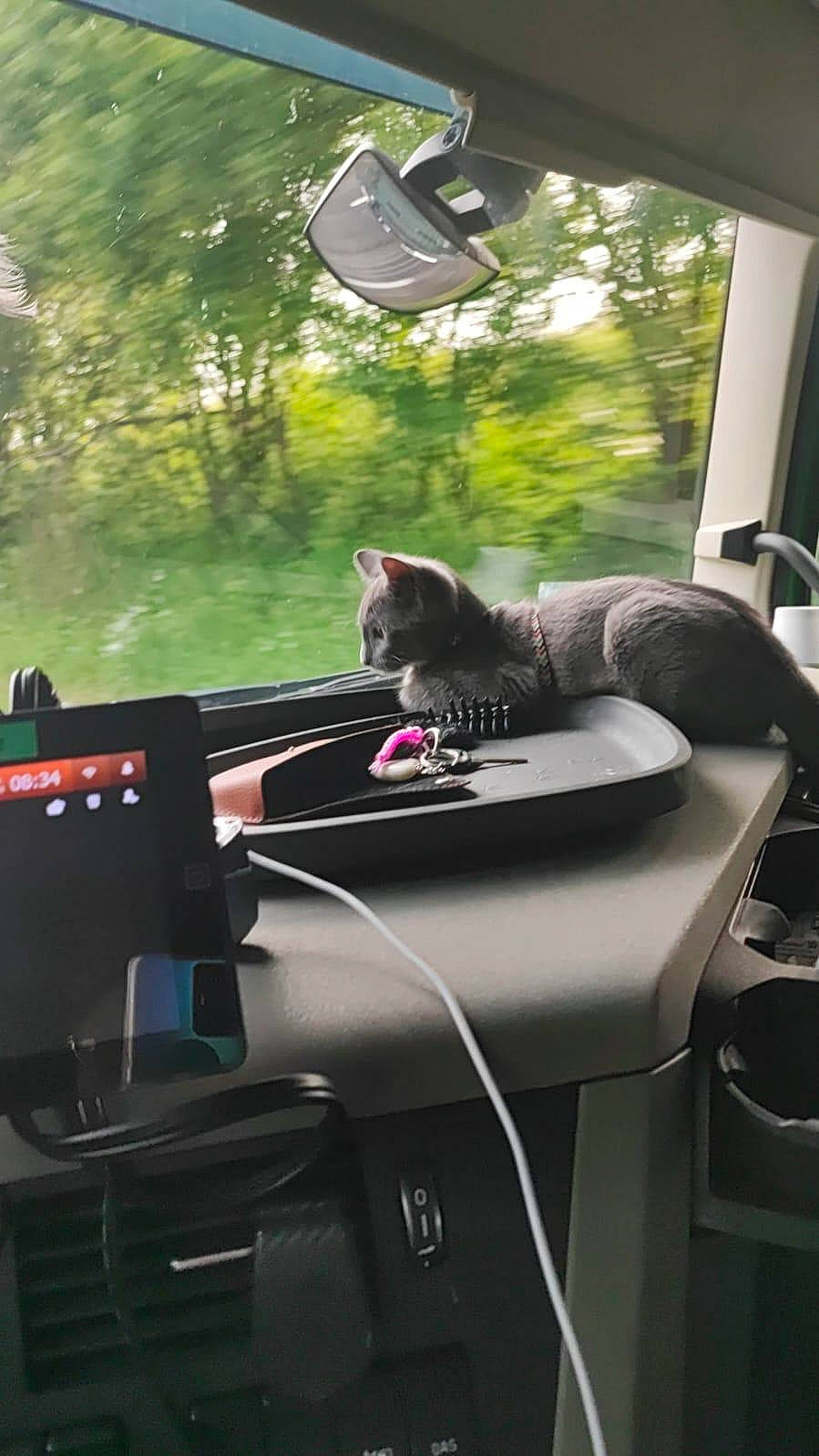 Ayrtone a rejoint le concours — aidez-le/la à gagner de superbes lots ! auto_part, automotive_design, automotive_exterior, automotive_mirror, automotive_window_part, car, car_seat_cover, family_car, glass, luxury_vehicle, motor_vehicle, personal_luxury_car, rear_view_mirror, steering_part, steering_wheel, tree, vehicle, vehicle_door, windscreen_wiper, windshield