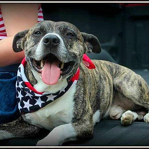 Rex is registered to the contest to win money with this photo: