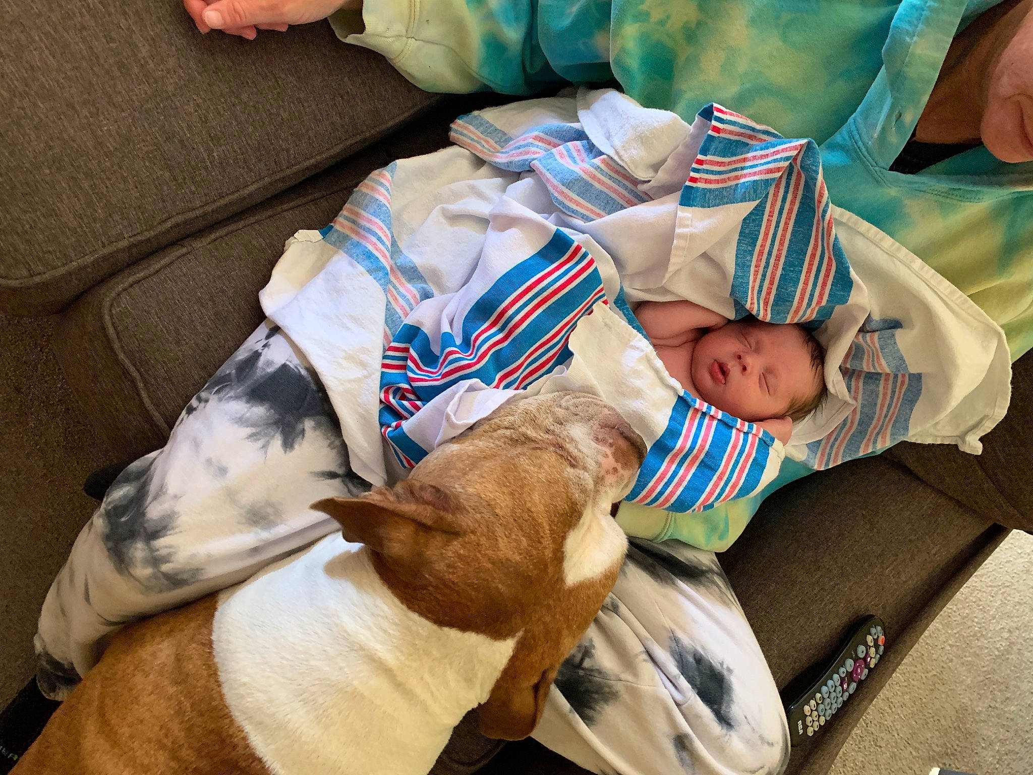 Kyson is registered to the contest to win money with this photo: baby, baby_products, carnivore, child, comfort, companion_dog, dog, dog_breed, event, fawn, felidae, hat, health_care, hospital, linens, nap, patient, person, sporting_group, tail