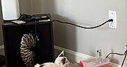 Mochi joined the competition — help win amazing prizes! cable, carpet, cat, cord, corner, cozy, floor, gray, household, indoor, pet, plug, quiet, relaxing, shelf, small, technology, wall, water_dispenser, white