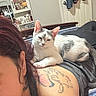 cat, person, tattoo, bed, indoor, relaxed, white_cat, gray_spots, clothing, door, cabinet, jewelry, furniture, hair, skin, bedroom, resting, lying_down, comfort, domestic