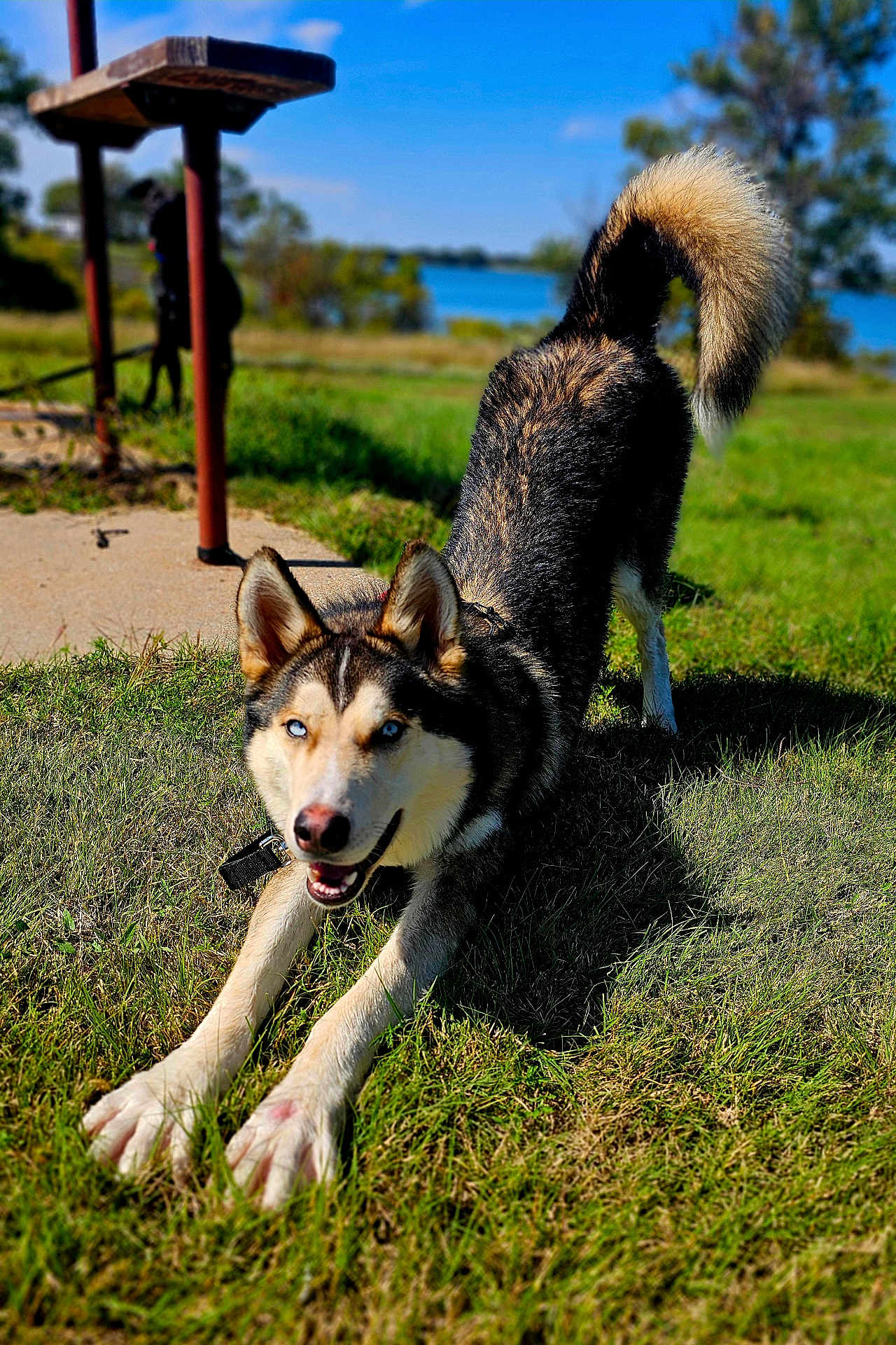 Oakley